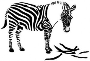 Zebra losing its stripes.